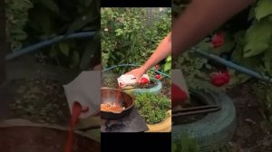 Пельмени в томатном соке