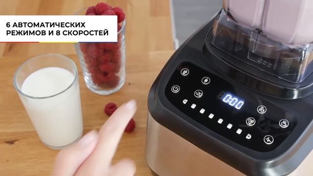 Профессиональный блендер OBERHOF Wirbel Е42