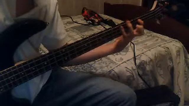 Pussy - Rammstein (bass cover) смотреть онлайн