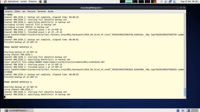 Oracle Backup & Recovery: Criptografia de Backups смотреть онлайн