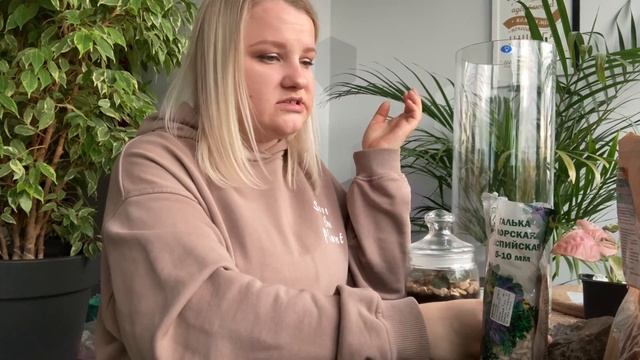 Создание закрытого флорариума смотреть онлайн