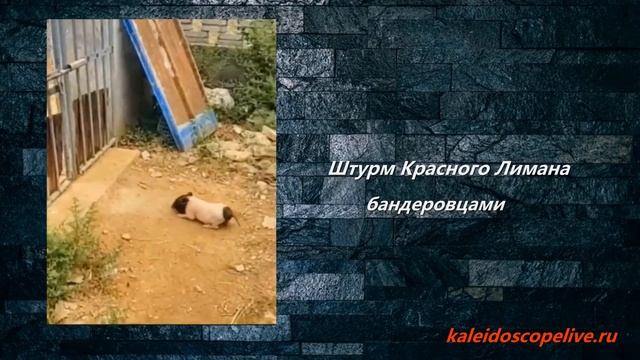 Штурм Красного Лимана бандеровцами смотреть онлайн