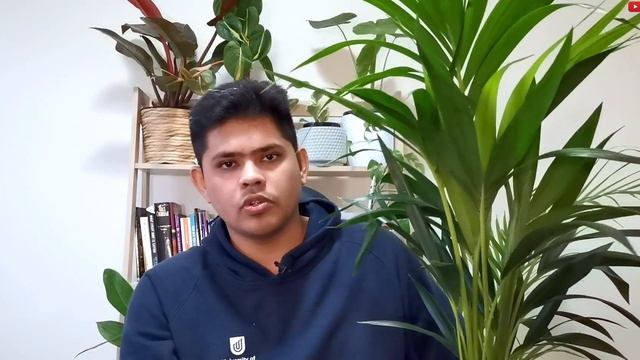 Kentia Palm Care Guide | How To Avoid Yellow/Brown Leaves