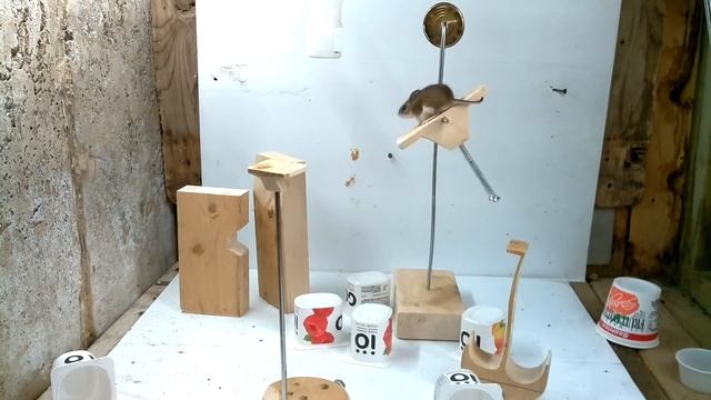 Mouse must jump for food смотреть онлайн