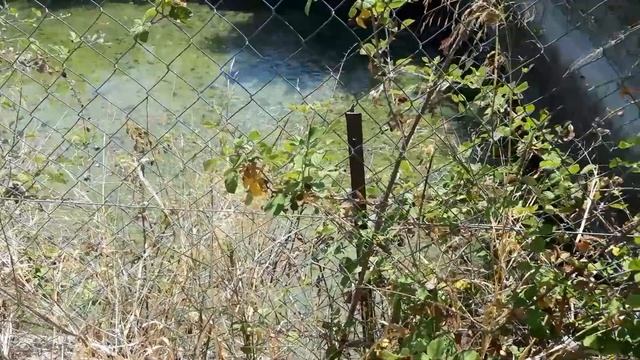 ГРЕЧЕСКИЙ ЯЗЫК С МАРИЕЙ КЕФАЛИДУ! ЗНАКОМИМСЯ С ГРЕЦИЕЙ: ПОЛУОСТРОВ ПЕЛОПОННЕС, ΛΕΜΟΝΟΔΑΣΟΣ смотреть онлайн