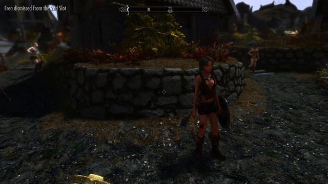 Nether's Follower Framework - Sparring System, The Sequel смотреть онлайн