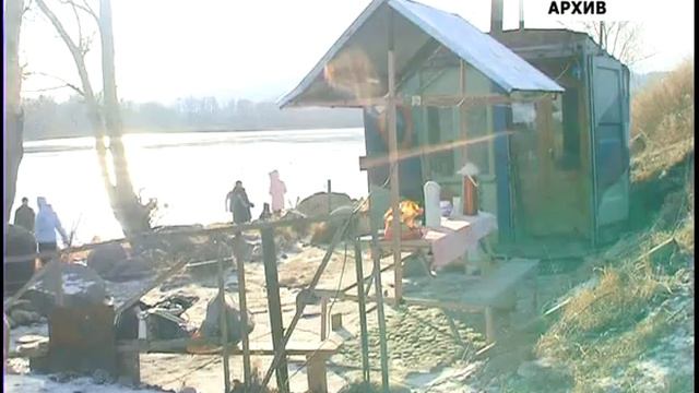 Моржи готовы смотреть онлайн