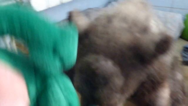 Сеня смотреть онлайн