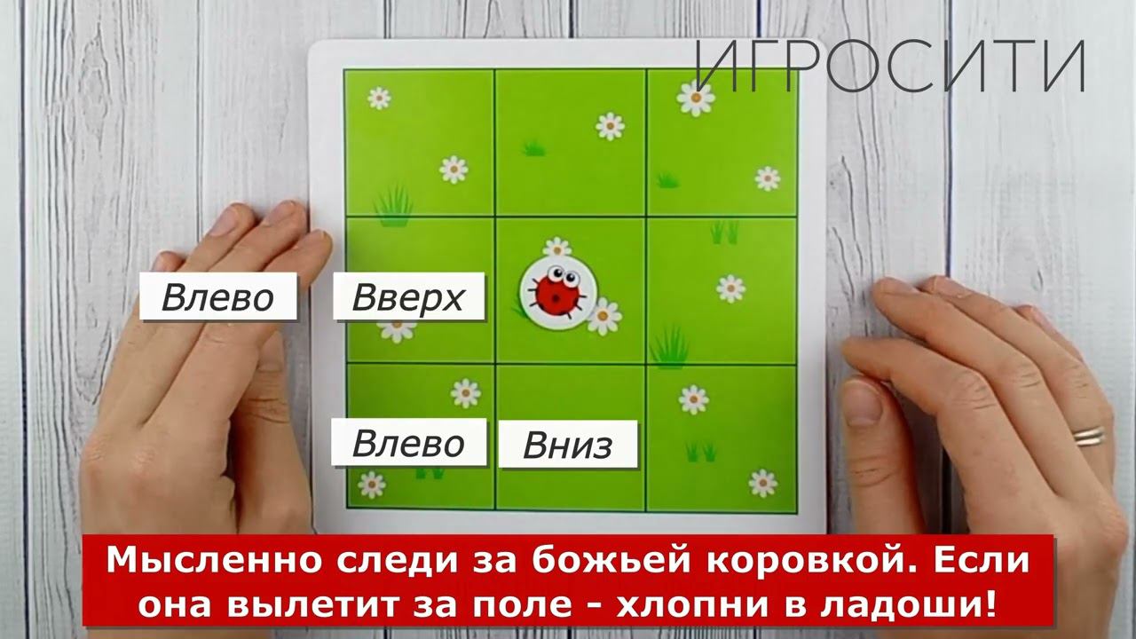 Нейропсихологическая игра «Где муха?» смотреть онлайн