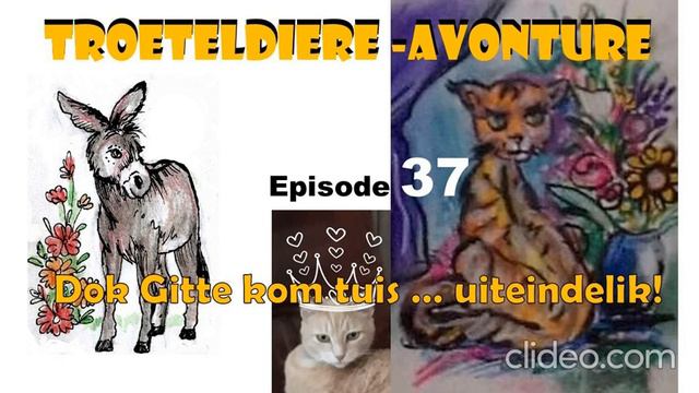 Dok Gitte kom huis toe... uiteindelik! 37 смотреть онлайн