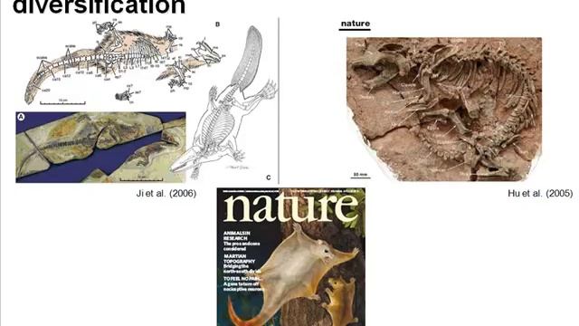 Mammals Inherit the Earth смотреть онлайн