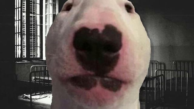 POV: Walter Jumpscares You In A Dark Room смотреть онлайн