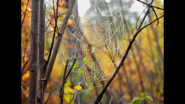 Бабье лето в Раякоски смотреть онлайн