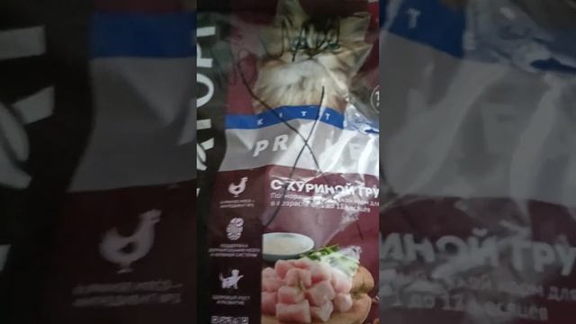 видео по РАЦИОНУ питания КОШКИ/какие корма СМЕШАНЫ в МИСКЕ моей КОШКИ/Кристина Life Pets