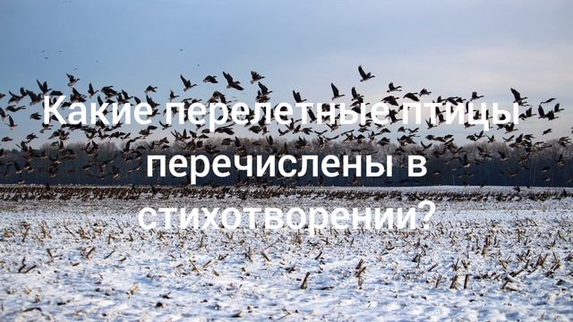  смотреть онлайн