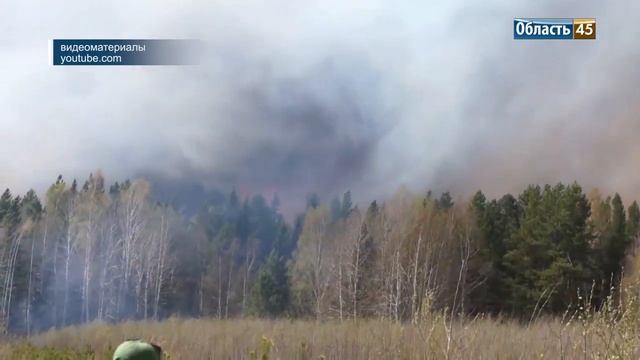 Зауральских садоводов штрафуют за сжигание мусора и травы смотреть онлайн