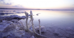 "ИЗ РОССИИ С ЛЮБОВЬЮ: АСТРАХАНЬ"