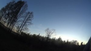 Охота на вальдшнепа 2023г.СТОЛЬКО ВАЛЬДШНЕПА Я НЕ СТРЕЛЯЛ#охотанавальдшнепа#вальдшнеп#весна