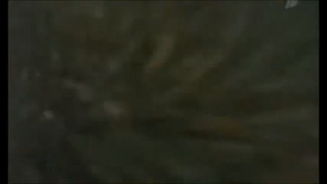 ПРОСТО ЧТОБЫ ВЫ ЗНАЛИ. Выпуск 5-й смотреть онлайн