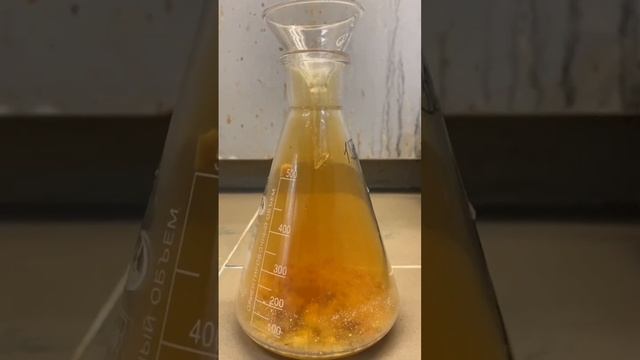 Процесс проведения испытаний клубники в шоколаде по показателю 