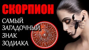 ЗНАК ЗОДИАКА СКОРПИОН. ХАРАКТЕРИСТИКА