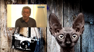 Мы тута власть!!!