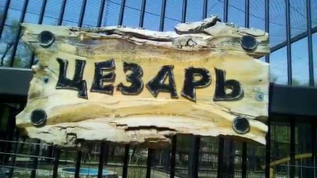 Поход в зоопарк ))) смотреть онлайн