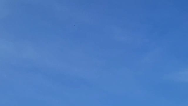 В каком возрасте отсаживать Пискунов голубей? смотреть онлайн