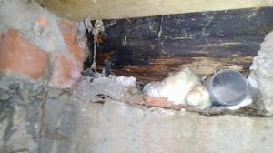 Замена столбиков лаг, дереняных полов, гниёт нижний венец сруба. Деревянный дом