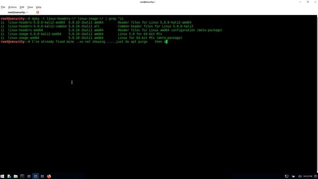 FIX Kali Kernel update error (no space left on device) смотреть онлайн