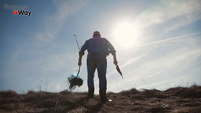 Это Самое ЛУЧШЕЕ ВРЕМЯ Для Посадки Саженцев Осенью! смотреть онлайн