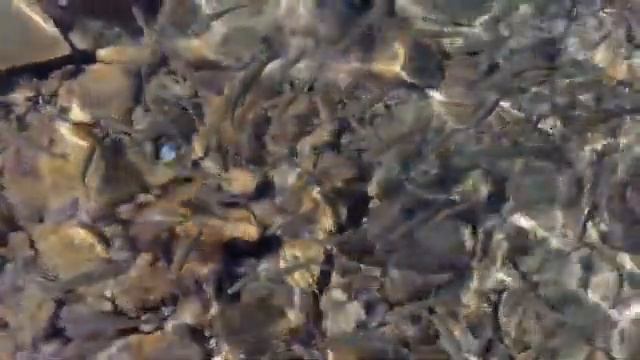 02.Так говорил Заратустра, Ницше. смотреть онлайн