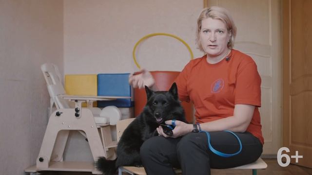 Добрые дела на краю света.  Серия 7 -  Канистерапия