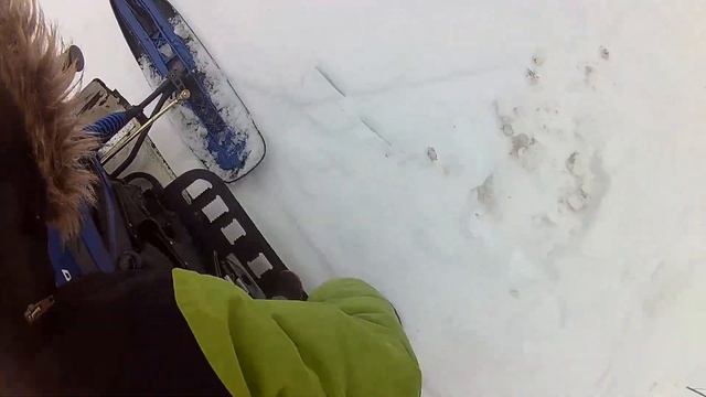 Последние покатушки на Dingo T150 || Сын учится ездить на снегоходе! смотреть онлайн