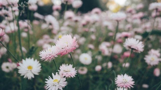 Вот почему чужая девушка или жена кажется привлекательнее и слаще. смотреть онлайн