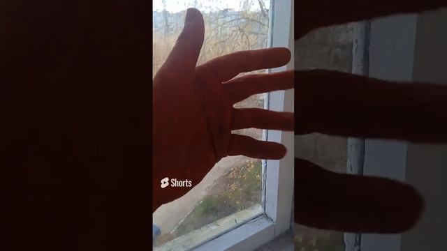 купил перчатки.mp4 смотреть онлайн