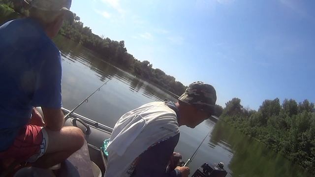 Рыбные Похождения