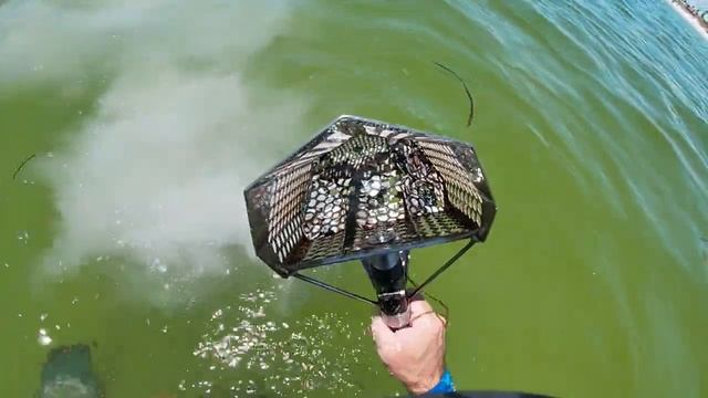 St. Petersburg Florida Metal Detecting смотреть онлайн