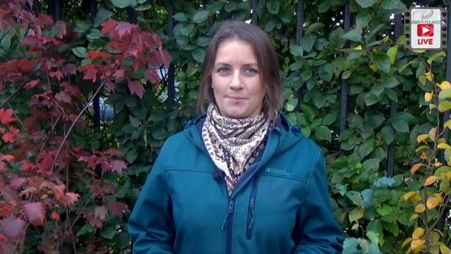 Глина плюсы и минусы. Особенности посадки. смотреть онлайн