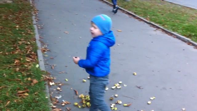 Открываем каштаны