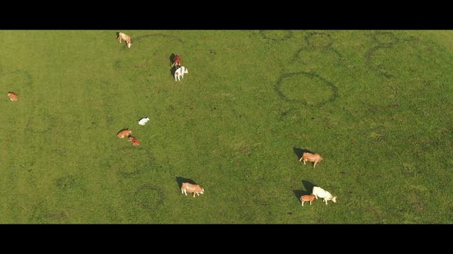 Myrafalls 🇦🇹 Drone 4k30fps | DJI Mavic 2 Zoom смотреть онлайн