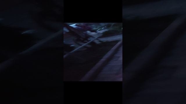 СПУСКАЕМСЯ В ПОДВАЛ ДОМА! **МЫ НАШЛИ МОНСТРА** смотреть онлайн