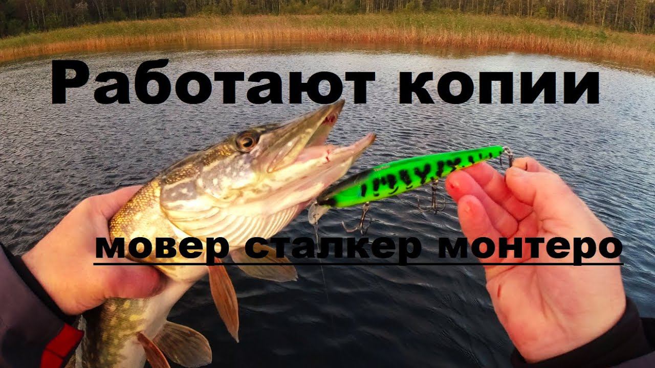 Работают копии. Мовер Сталкер Монтеро. смотреть онлайн