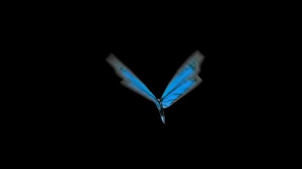 Free Stock Footage - Blue Butterfly Flying Black Background