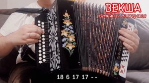 Я ГАРМОШЕЧКУ В РУКИ ВОЗЬМУ || РАЗБОР НА ГАРМОНИ || НИКОЛАЙ ГОЛОВИНОВ || СЕМЕЙНАЯ МАСТЕРСКАЯ ВЕКША