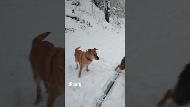 Зимушка зима