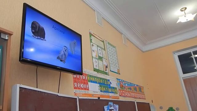 Где живут белые медведи? (2 часть) смотреть онлайн