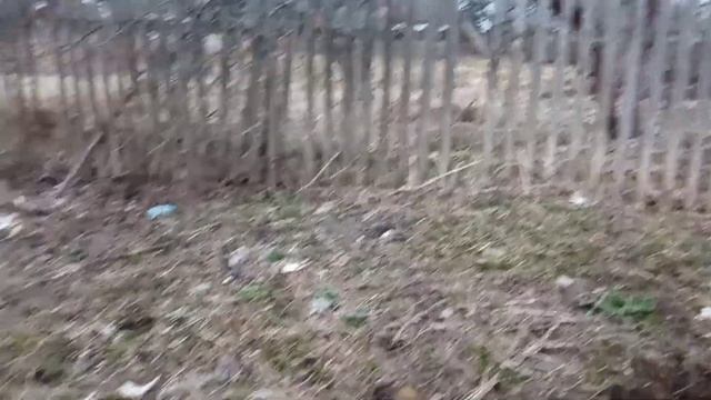 Коп по советской свалке.Коп монет за несколько выходов.Выложил 23 апреля смотреть онлайн