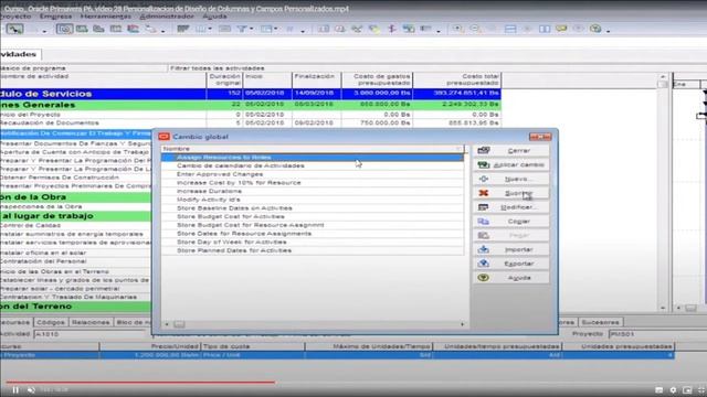 PRESENTACIÓN PRIMAVERA P6 ORACLE смотреть онлайн