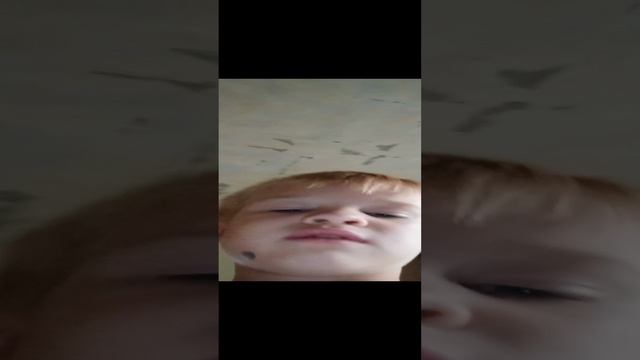 VID_20240813_181653.mp4 смотреть онлайн